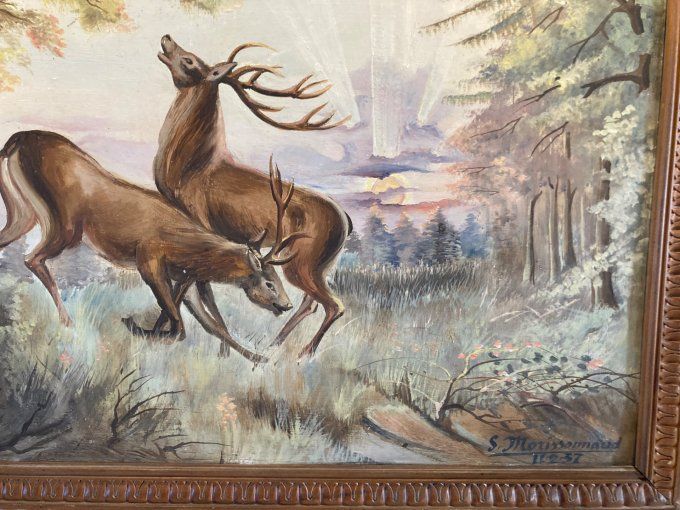S.Morissonnaud. Cerfs
