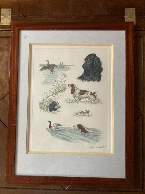 Jean Herblet. Étude de chiens, canards et lapin 