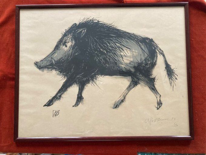 Lithographie d’ Albert Deman , le Sanglier