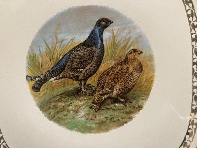 9 assiettes faïencerie longchamp à décors de faisans, perdreaux et bécasses