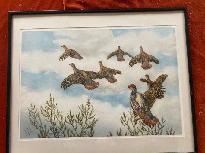 Boris Riab. Compagnie de perdreaux en vol