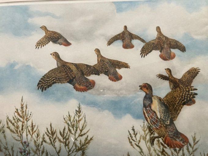 Boris Riab. Compagnie de perdreaux en vol