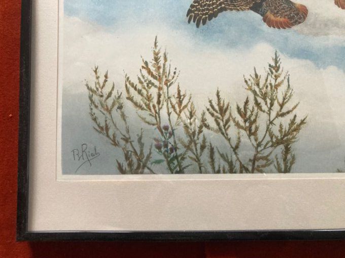 Boris Riab. Compagnie de perdreaux en vol