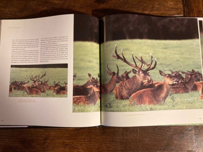 Se lu parmi les cerfs