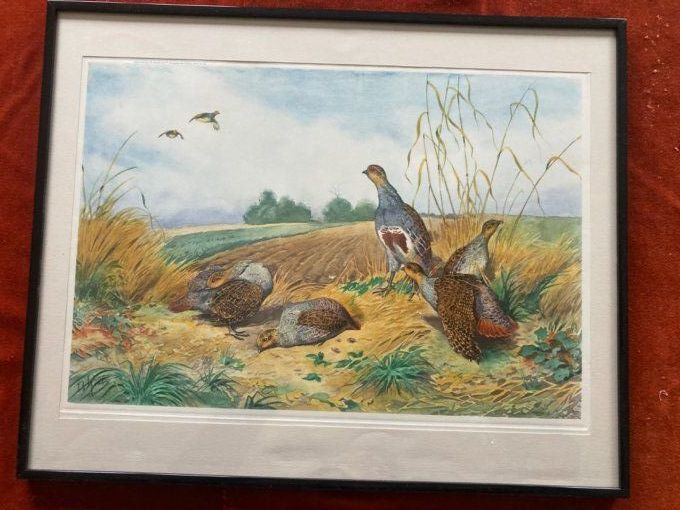 Boris Riab. Compagnie de perdreaux au sol