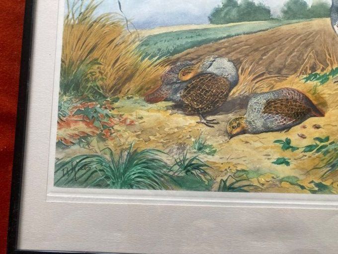 Boris Riab. Compagnie de perdreaux au sol