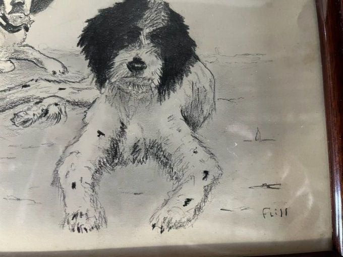 2 chiens de chasse de Fliss