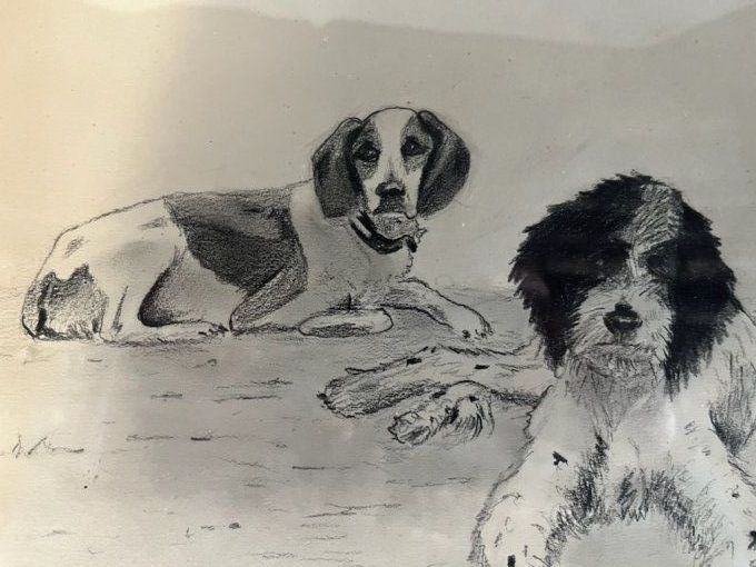 2 chiens de chasse de Fliss